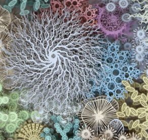 激光雕刻紙卡 帶你體驗不一樣的藝術之美