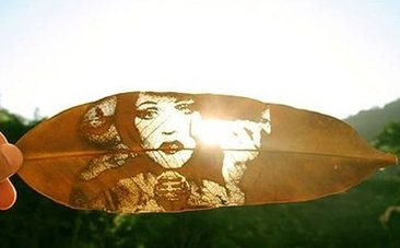 激光雕刻樹葉 給你不一樣的視覺體驗(yàn)